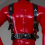 Fetich Sele Harness