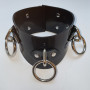 Posture BDSM Rubber Collar