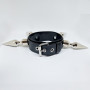 Big Spike Collar