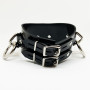 Posture Latex BDSM Collar