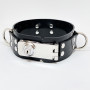 Collar With Lock Function