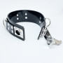 Locking Collar