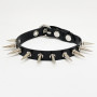 Punk Necklace With Rivets