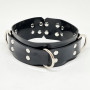 Click Lock Latex Collar