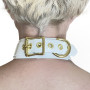 Fetish Collar