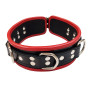 Leather Collar With 5 D-Rings