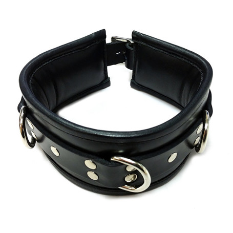 Padded Leather Collar With 3 D-Rings