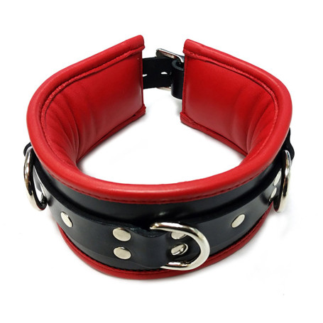 Padded Leather Collar With 3 D-Rings