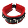 Padded Leather Collar With 3 D-Rings