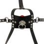 Head Harness With Gag