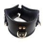 Padded Leather Posture Collar With 3 D-Rings