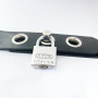 Big Padlock Screw