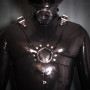 Copenhagen Harness