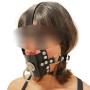 Harness (With Gag)