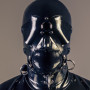 Face Harness