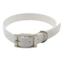 Fashion Collar