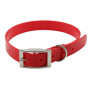 Dog Collar