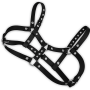 PVC Breast Harness