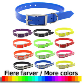 Fashion Dog Collar