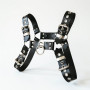 Trix Harness